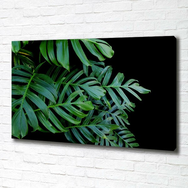 Foto quadro su tela Monstera