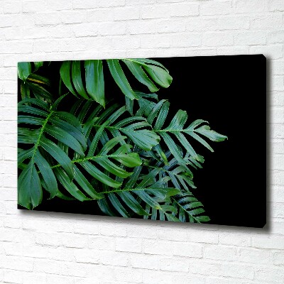 Foto quadro su tela Monstera