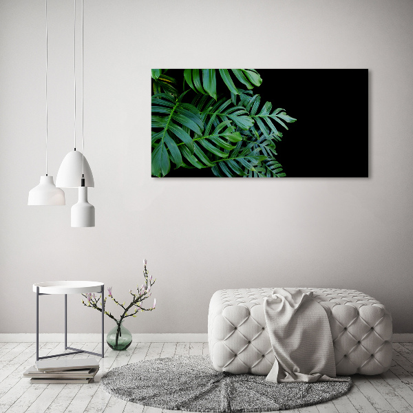 Foto quadro su tela Monstera