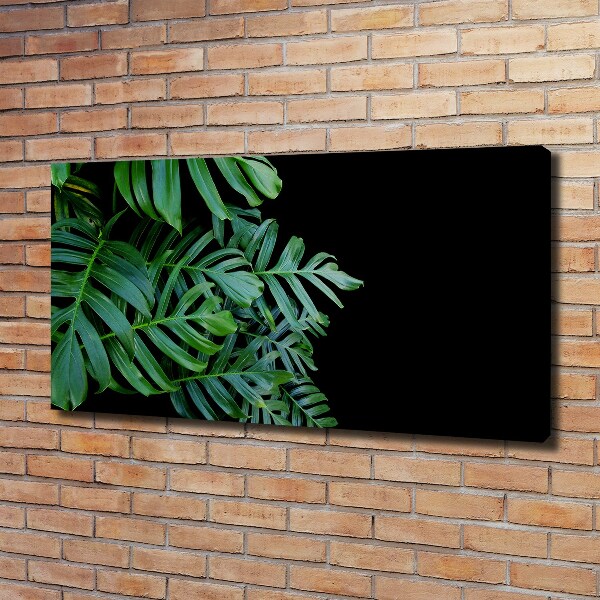 Foto quadro su tela Monstera