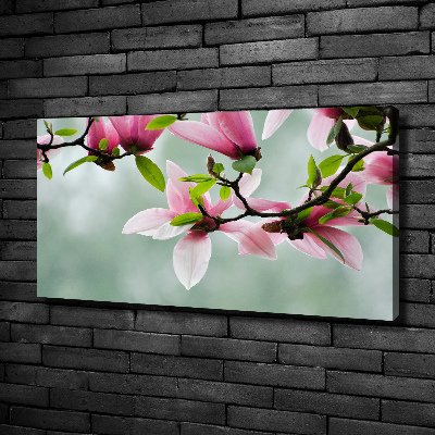 Quadro stampa su tela Magnolia