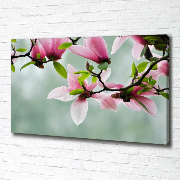 Quadro stampa su tela Magnolia
