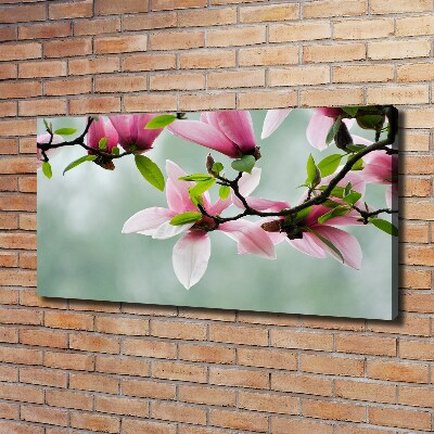 Quadro stampa su tela Magnolia