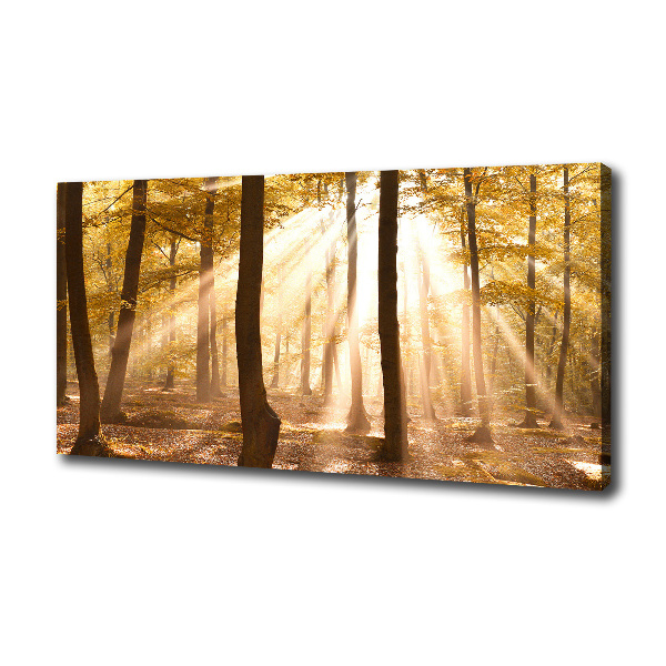 Quadro su tela Foresta in autunno