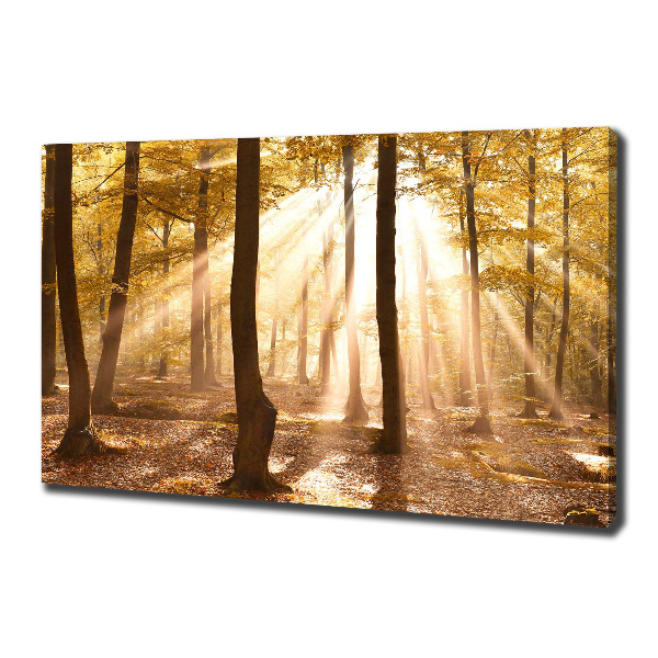 Quadro su tela Foresta in autunno