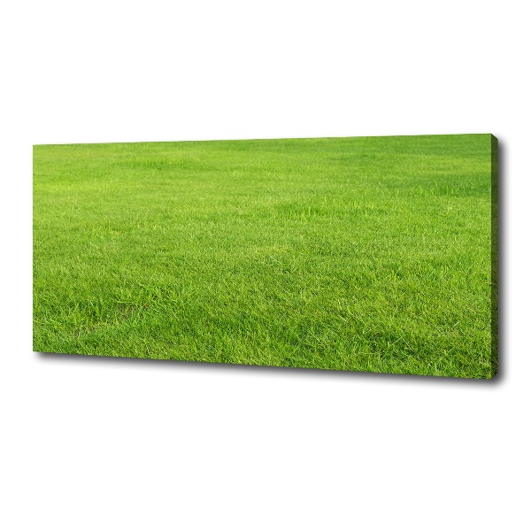 Foto quadro su tela Erba verde