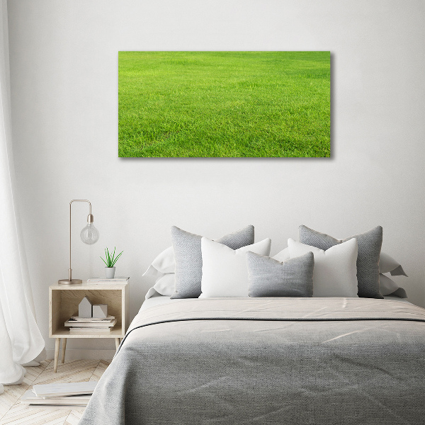 Foto quadro su tela Erba verde