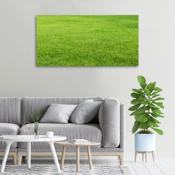 Foto quadro su tela Erba verde