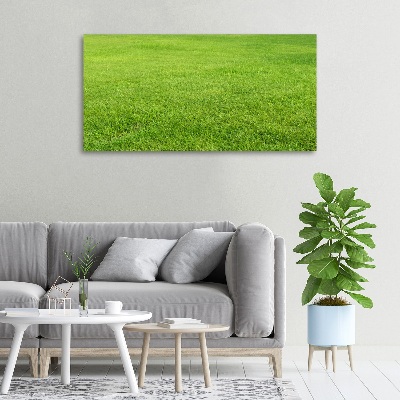 Foto quadro su tela Erba verde