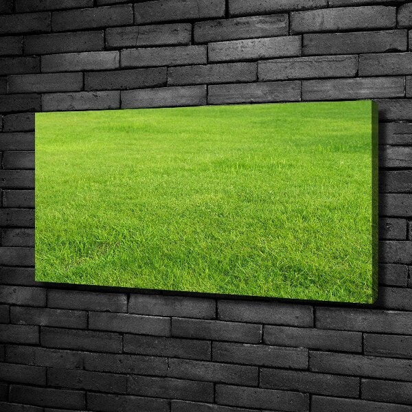 Foto quadro su tela Erba verde