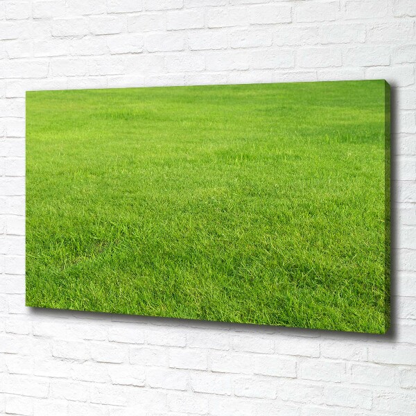Foto quadro su tela Erba verde