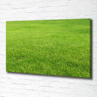 Foto quadro su tela Erba verde