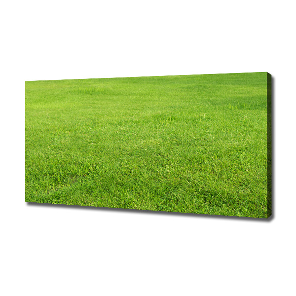 Foto quadro su tela Erba verde