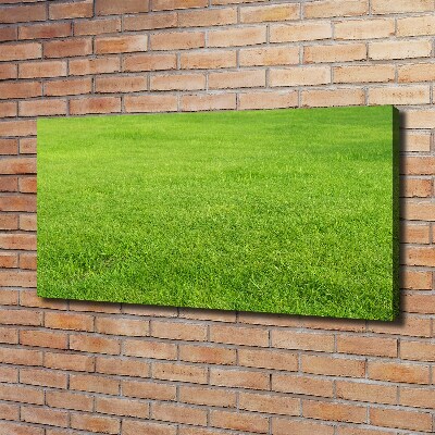 Foto quadro su tela Erba verde