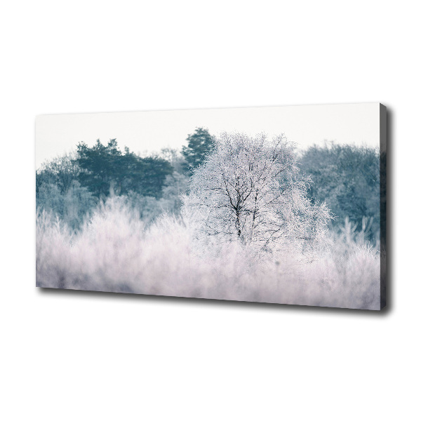 Quadro stampa su tela Alberi in inverno