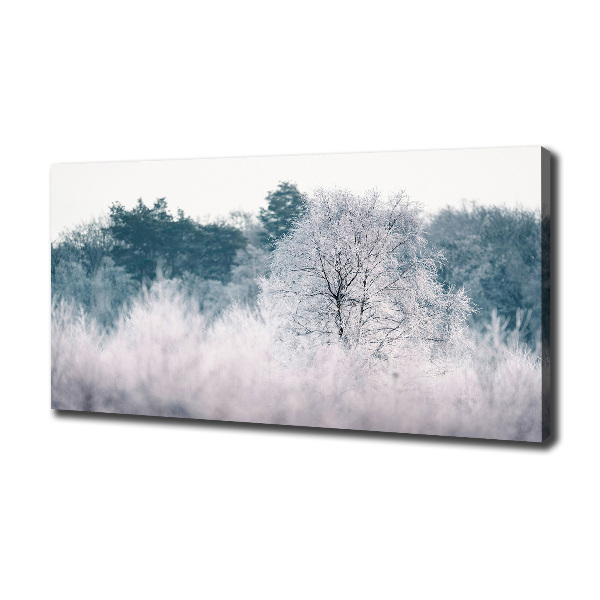 Quadro stampa su tela Alberi in inverno