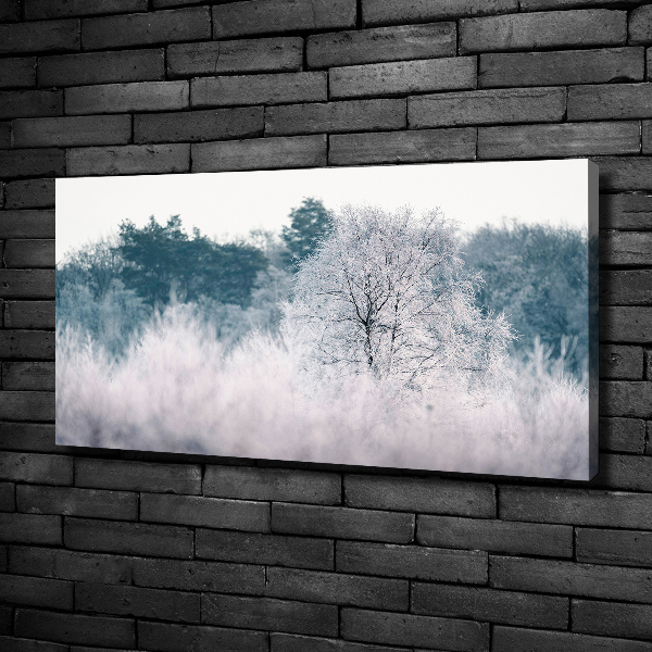 Quadro stampa su tela Alberi in inverno