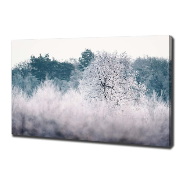 Quadro stampa su tela Alberi in inverno