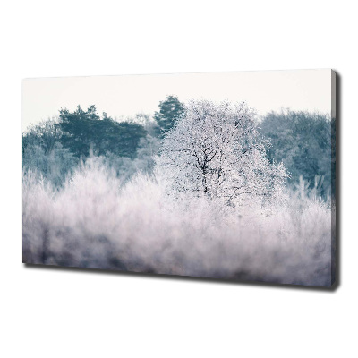Quadro stampa su tela Alberi in inverno