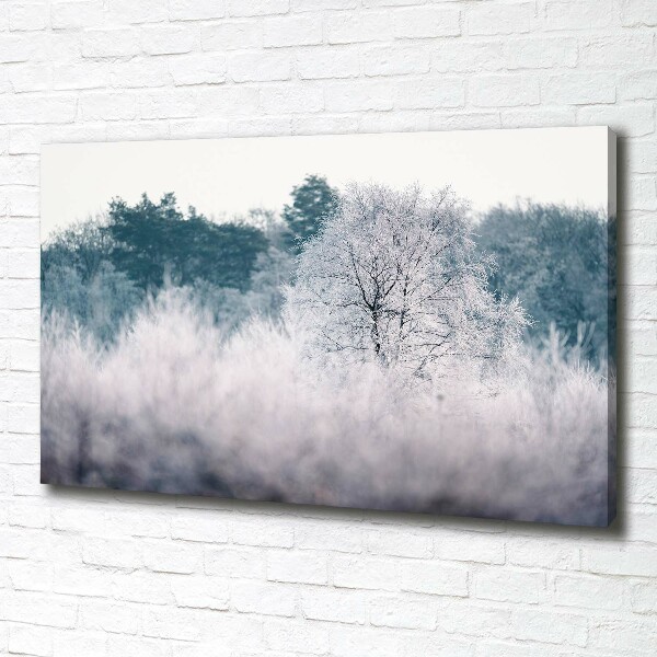 Quadro stampa su tela Alberi in inverno