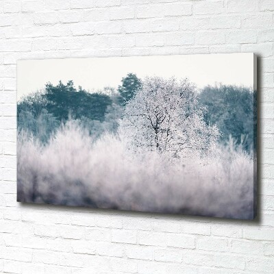 Quadro stampa su tela Alberi in inverno