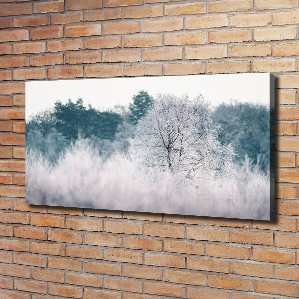 Quadro stampa su tela Alberi in inverno