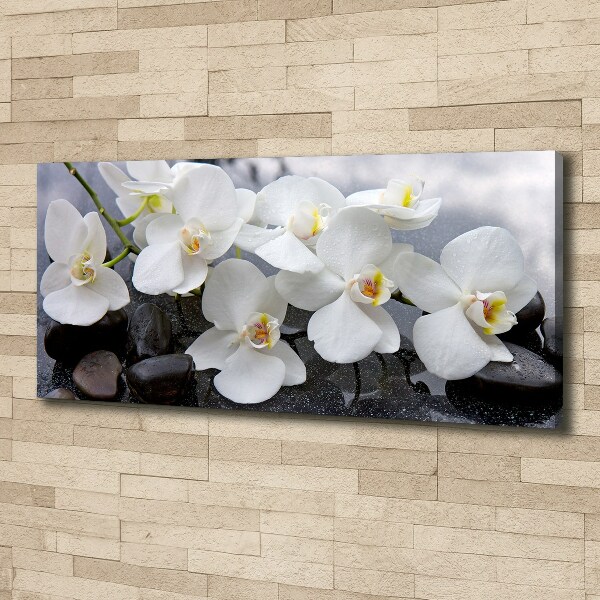 Quadro su tela Orchidea
