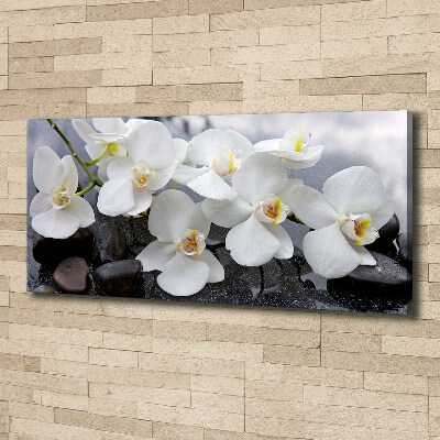 Quadro su tela Orchidea