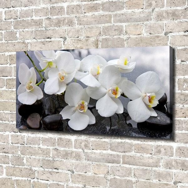 Quadro su tela Orchidea