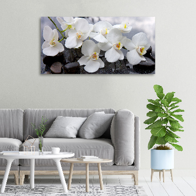 Quadro su tela Orchidea