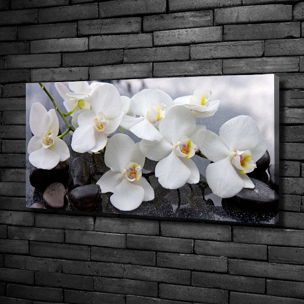 Quadro su tela Orchidea