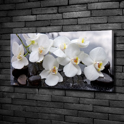 Quadro su tela Orchidea