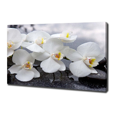 Quadro su tela Orchidea