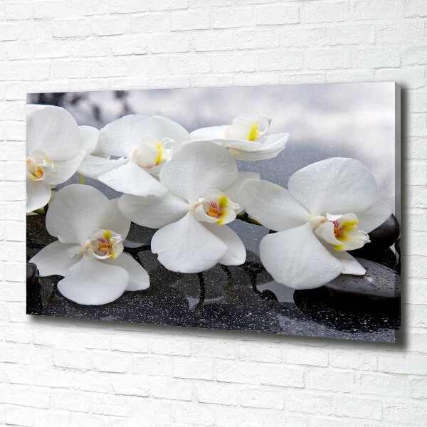 Quadro su tela Orchidea
