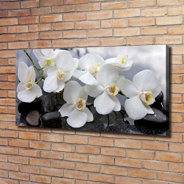 Quadro su tela Orchidea
