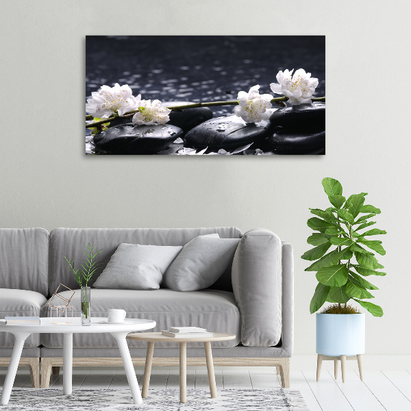 Foto quadro su tela Fiori di ciliegio
