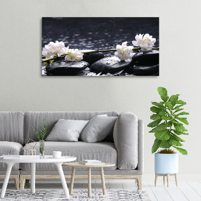 Foto quadro su tela Fiori di ciliegio