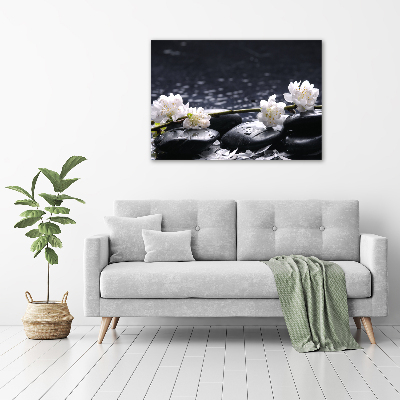 Foto quadro su tela Fiori di ciliegio