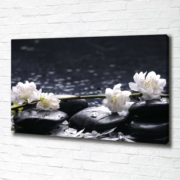 Foto quadro su tela Fiori di ciliegio
