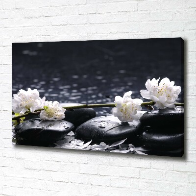 Foto quadro su tela Fiori di ciliegio