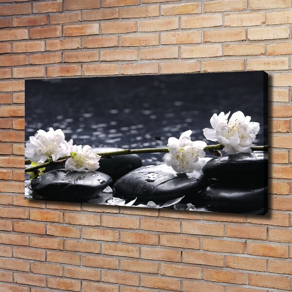 Foto quadro su tela Fiori di ciliegio