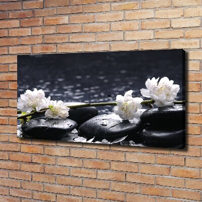 Foto quadro su tela Fiori di ciliegio