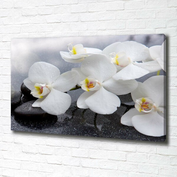 Quadro stampa su tela Orchidea
