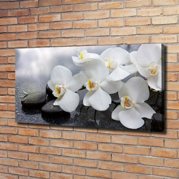 Quadro stampa su tela Orchidea