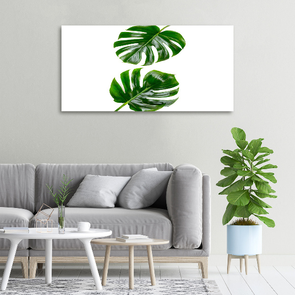 Quadro su tela Foglie tropicali