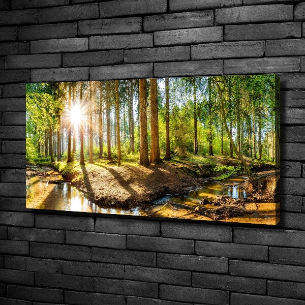 Quadro stampa su tela Panorama della foresta