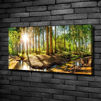 Quadro stampa su tela Panorama della foresta