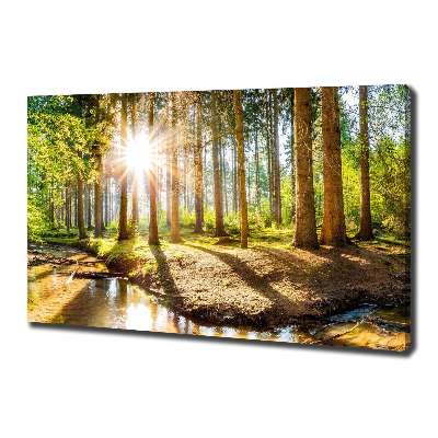 Quadro stampa su tela Panorama della foresta