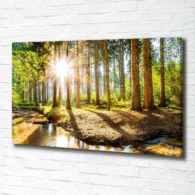Quadro stampa su tela Panorama della foresta