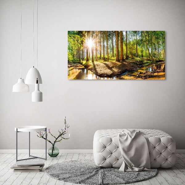 Quadro stampa su tela Panorama della foresta